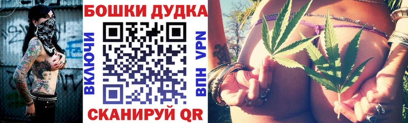 Каннабис Bruce Banner  Купить закладки  Армавир 